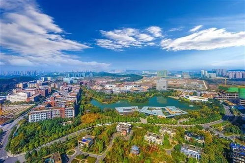 中科招商領銜久久益之星等3機構參與盛齊安定增，打造中國腫瘤治療通信技術開發獨角獸